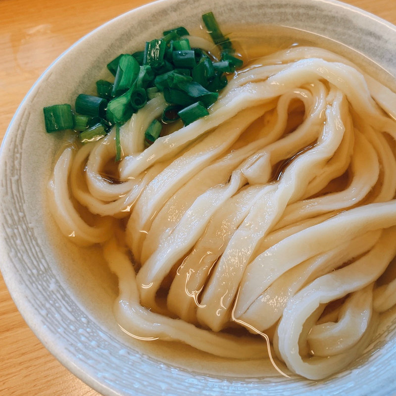 かけうどん(ひやひや小)(手打ちうどん こげら)