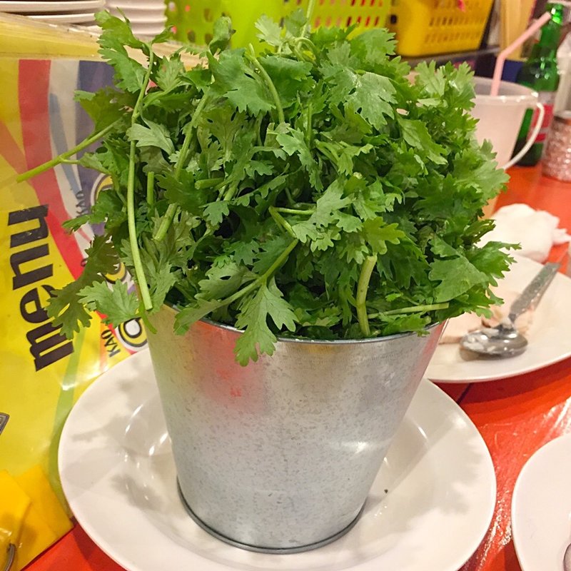 バケツパクチー(タイ屋台 999)