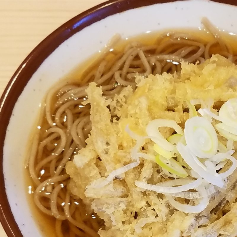 ごぼうかき揚げそば(そばの神田 東一屋 名掛丁店 （そばのかんだ とういちや）)