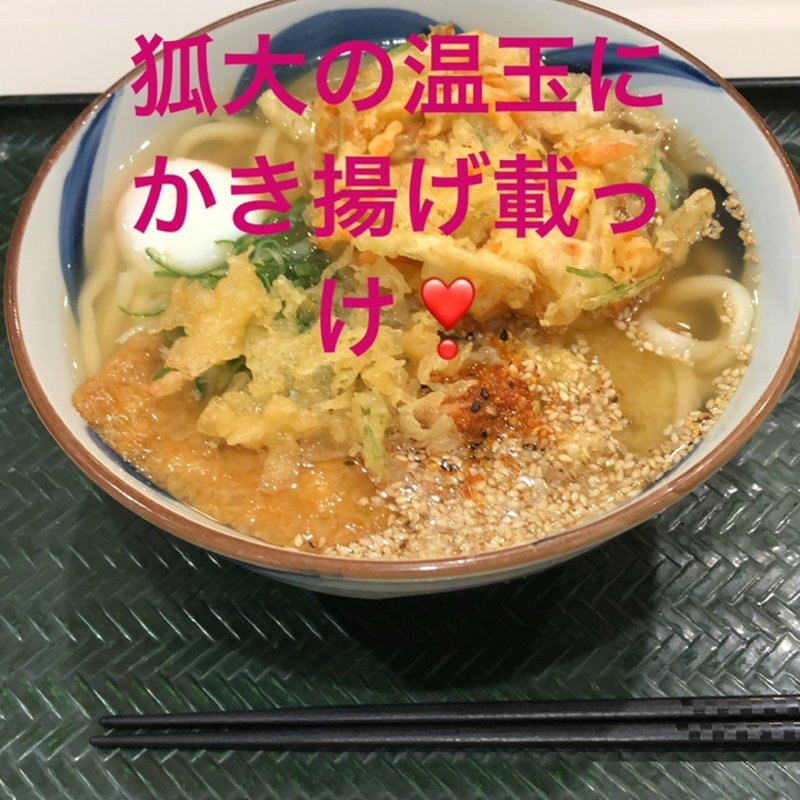 かき揚げ半玉うどん大盛り(はなまるうどんアリオ市原店)