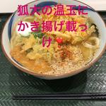 かき揚げ半玉うどん大盛り(はなまるうどんアリオ市原店)