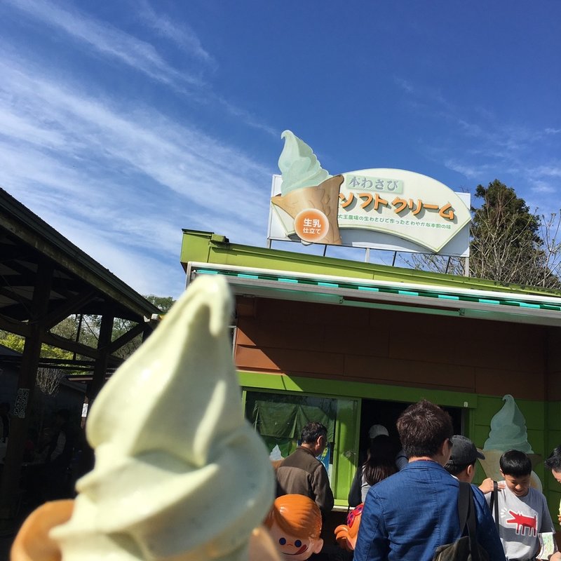 本わさびソフトクリーム(大王わさび農場)