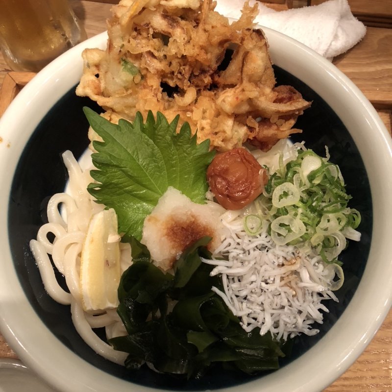 天婦羅おろしうどん(山半 本店)