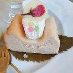 桜のチーズケーキ(リトル ビレッジ カフェ  Little Village Cafe)