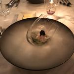 (ステラート （Stellato）)