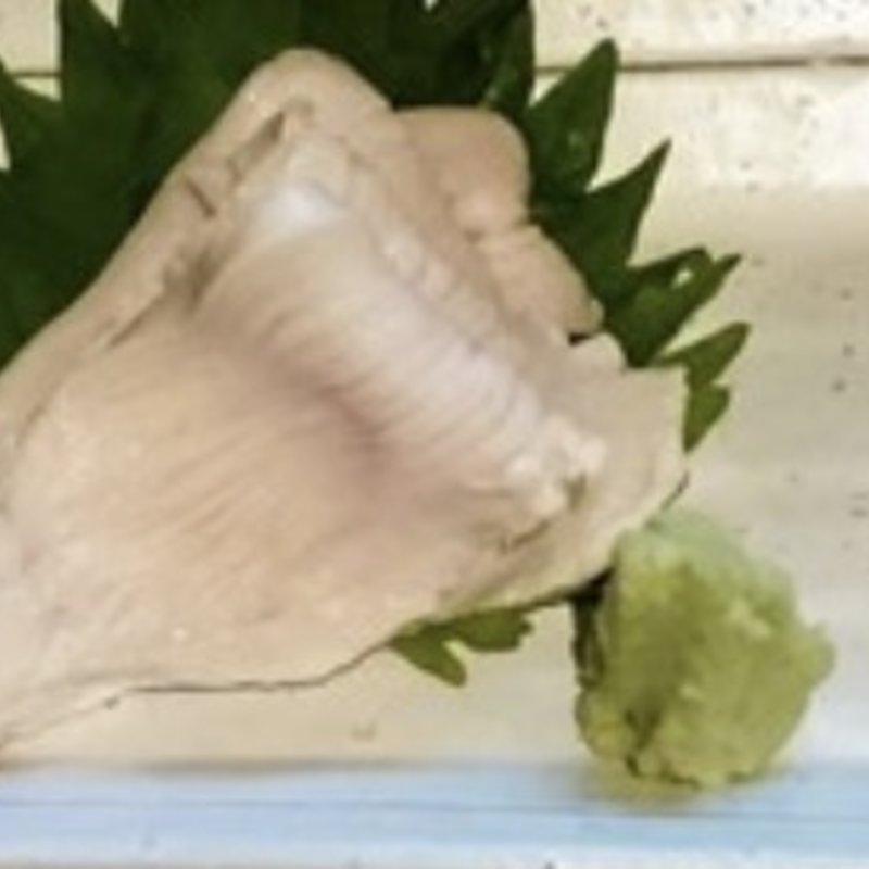 鳥刺3点盛り(駿 （シュン）)