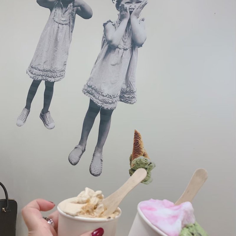 Nutella Chip Gelato(Via Gelato)