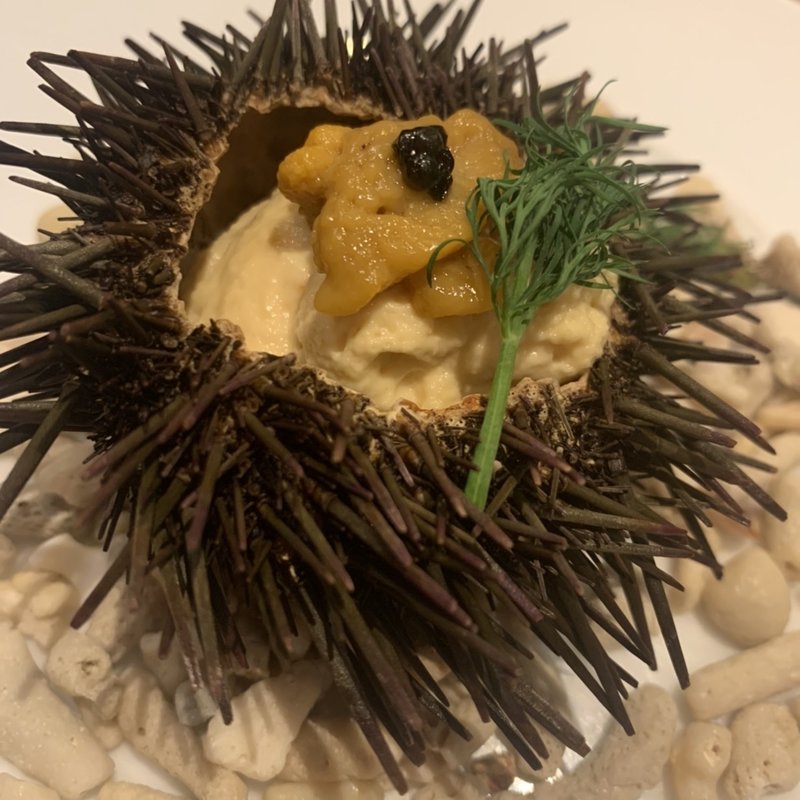 冷製生ウニのプリン(BELON 渋谷店)