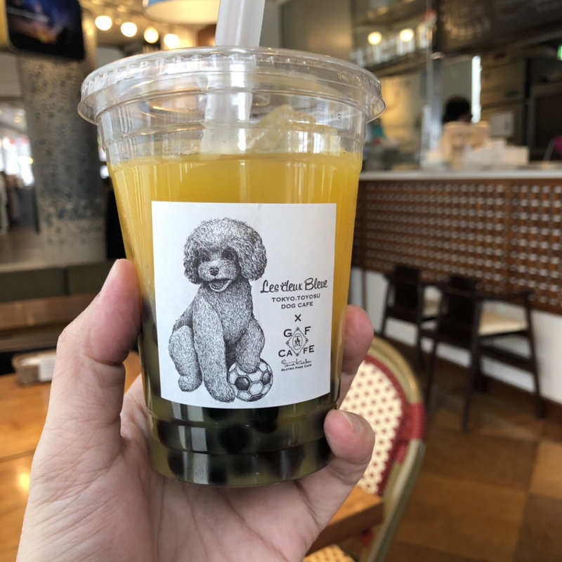 タピオカマンゴー(RHC  cafe ららぽーと豊洲店)