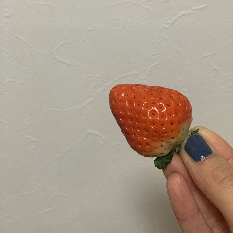 銀龍苺(十勝 銀龍苺 代官山店)