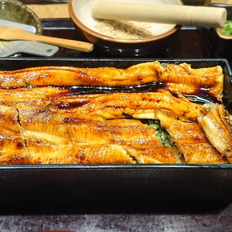 めそっこ箱めし(あなご屋 銀座 ひらい)