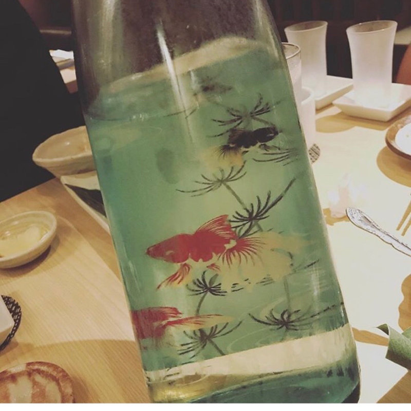 純米吟醸 金魚(神楽坂イカセンター)