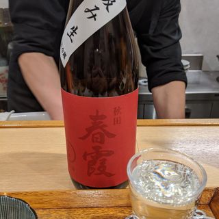 春霞(酒と醸し料理BY)