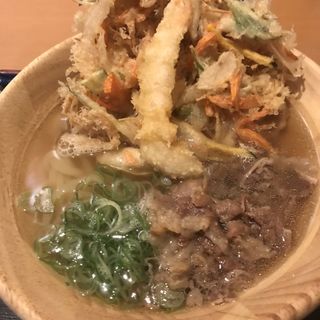 肉かき揚げうどん(大地のうどん)