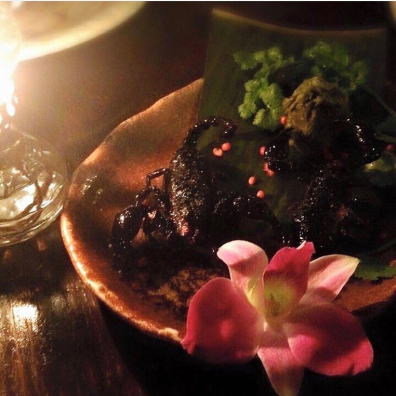 サソリの姿揚げ　ウチワサボテンのピクルス添え(アマゾンクラブ （amazon club）)