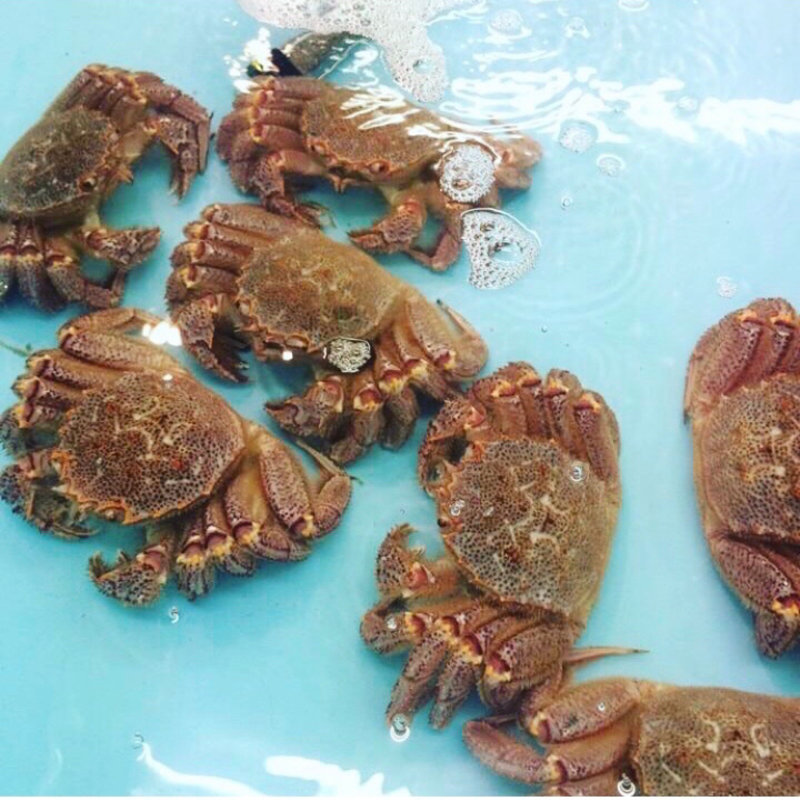 毛ガニ(いわき・ら・ら・ミュウ)