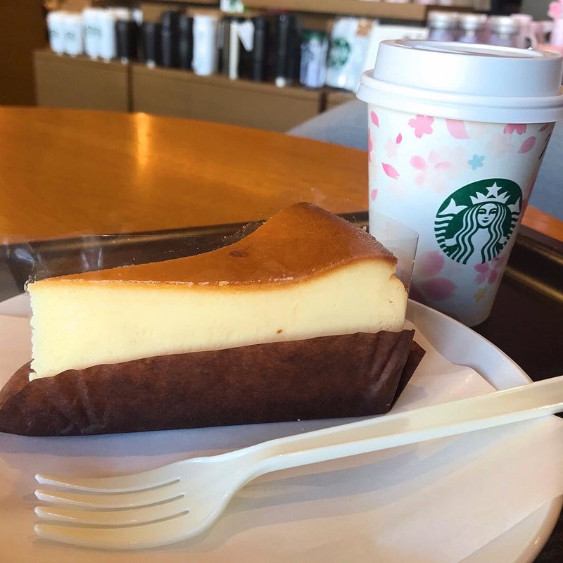 ニューヨークチーズケーキ(スターバックスコーヒー 蔦屋書店 周南市立徳山駅前図書館店)