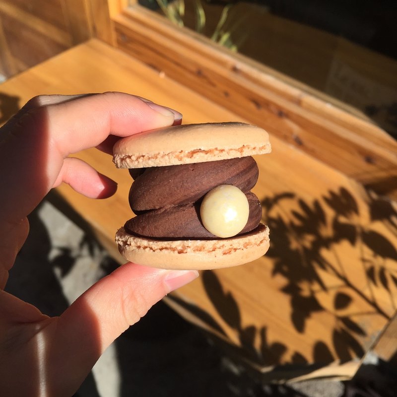 チョコ(The Shugar Forest)