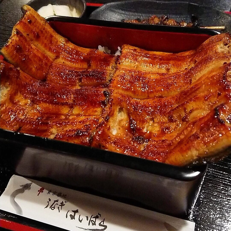 うな重(はいばら築地2号店)