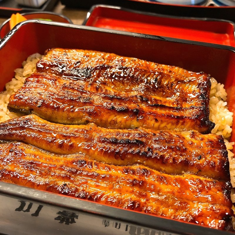 上うな重(川豊本店)