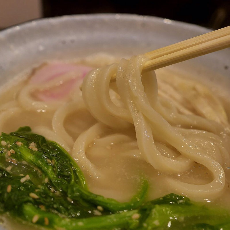 白ごまうどん(讃岐麺屋 あうん )