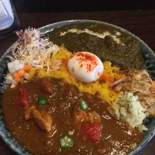 (スパイスのこうちゃん)
