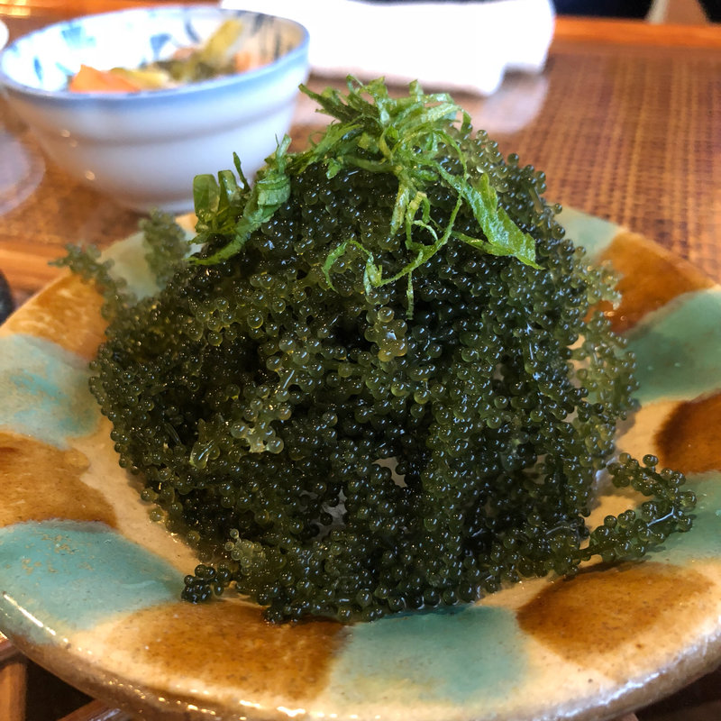 海ぶどう(ぱいなっぷるはうす （家） )