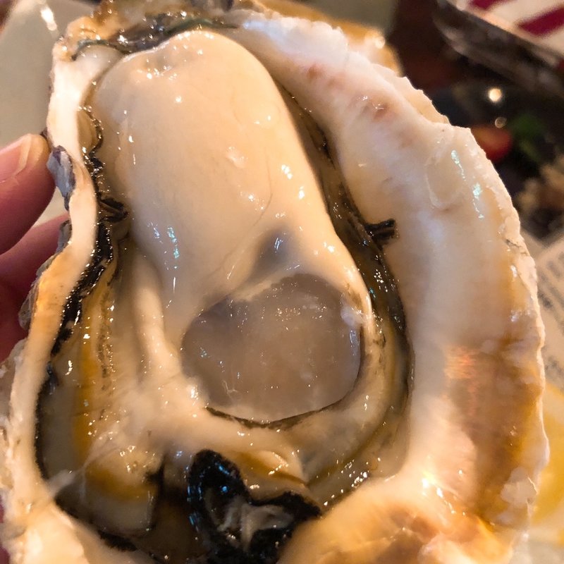 岩牡蠣(マリスコ （Marisco）)