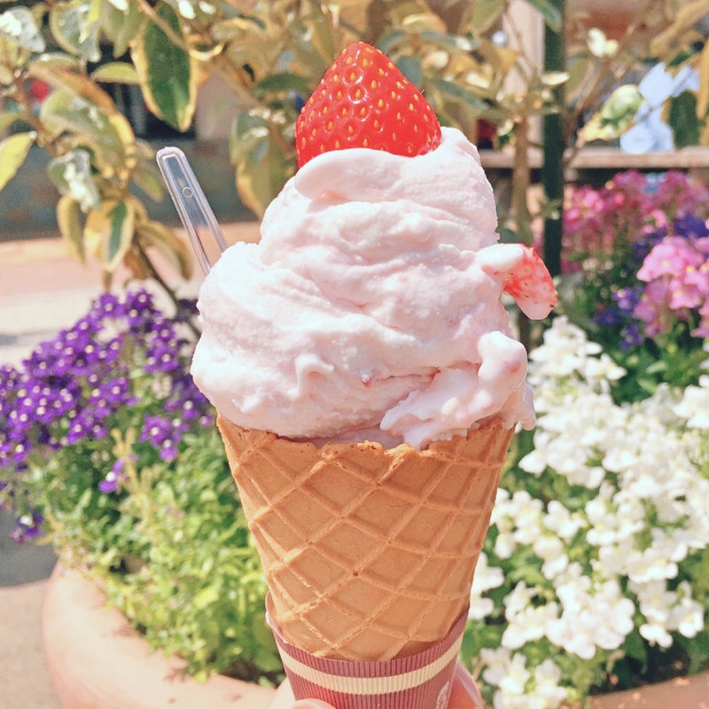 とちひめジェラート(道の駅 にのみや )