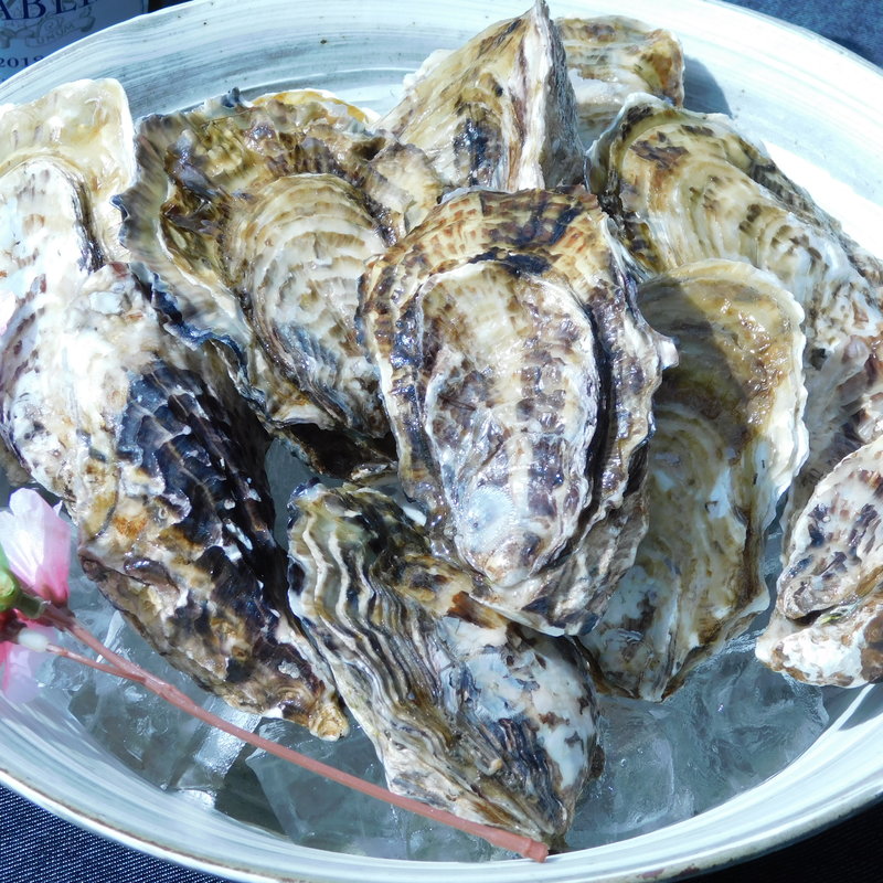 豊前一粒ガキ(Harmonie玄)