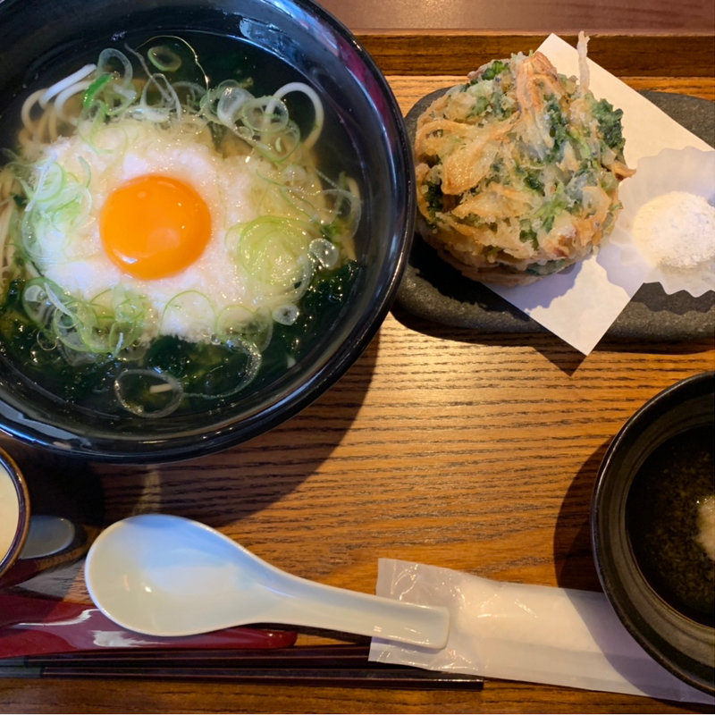 新アオサととろろ月見うどん(ハネヤ)