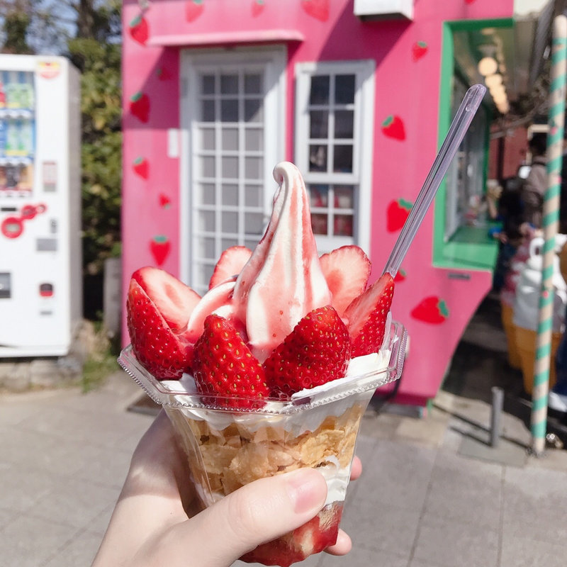 スペシャルサンデー(いちごの里 よしみ)