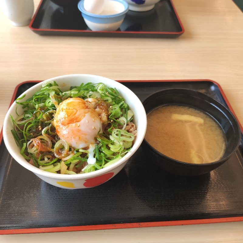 たっぷりネギたま牛並(松屋平針駅前店 )