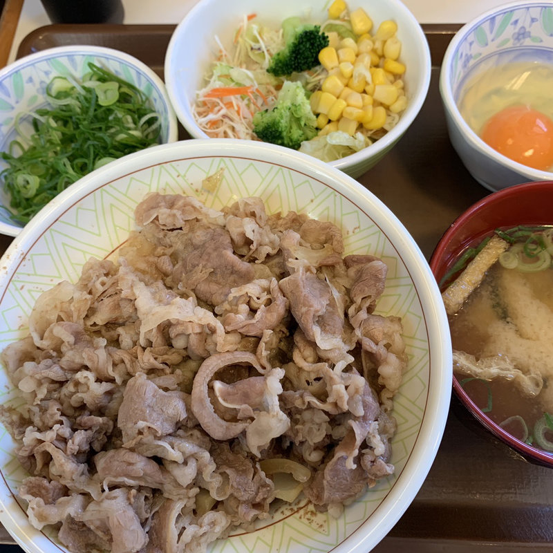 牛丼(中盛)ランチセット(すき家 府中本宿店 )