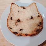 ねこねこ食パン　チョコ