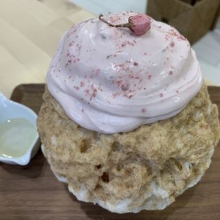 桜モンブラン(かき氷専門店SANGO)
