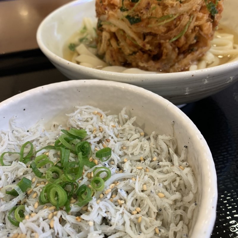 かき揚げうどん しらす丼セット(はまきた食堂 )