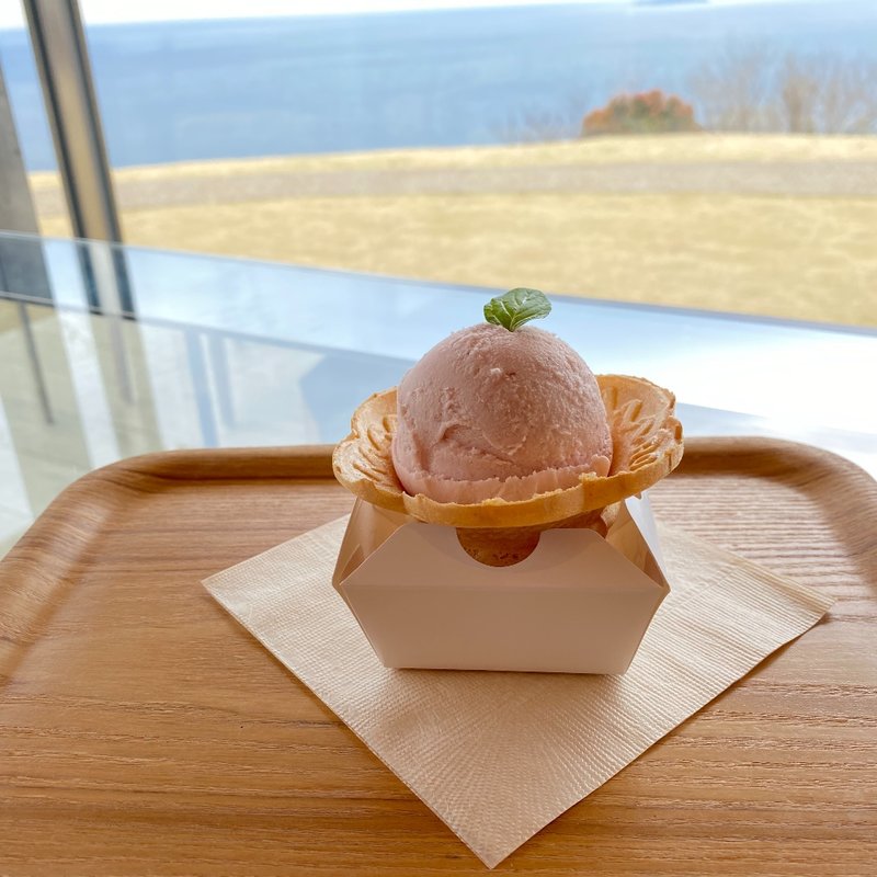 紅ほっぺアイス(COEDA  HOUSE)