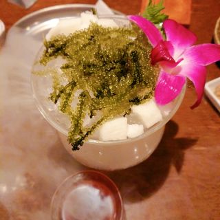 プチプチ海ぶどう(沖縄粟国島料理 あぐぅーん たまプラーザ店)