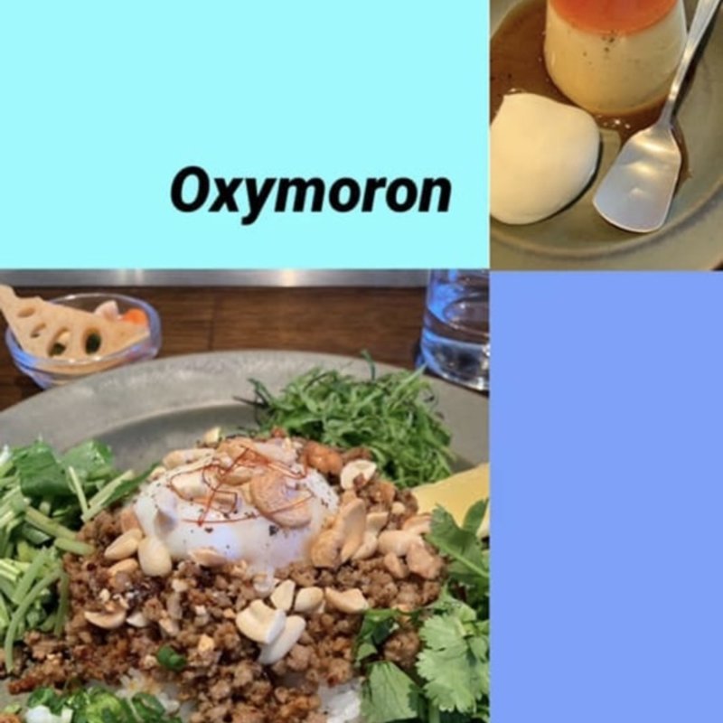 エスニックそぼろカリー(OXYMORON 二子玉川)