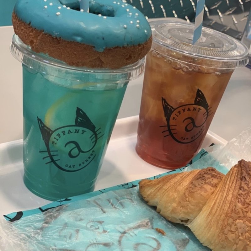 (Tiffany Cat cafe)
