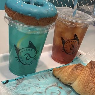 (Tiffany Cat cafe)
