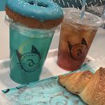 (Tiffany Cat cafe)