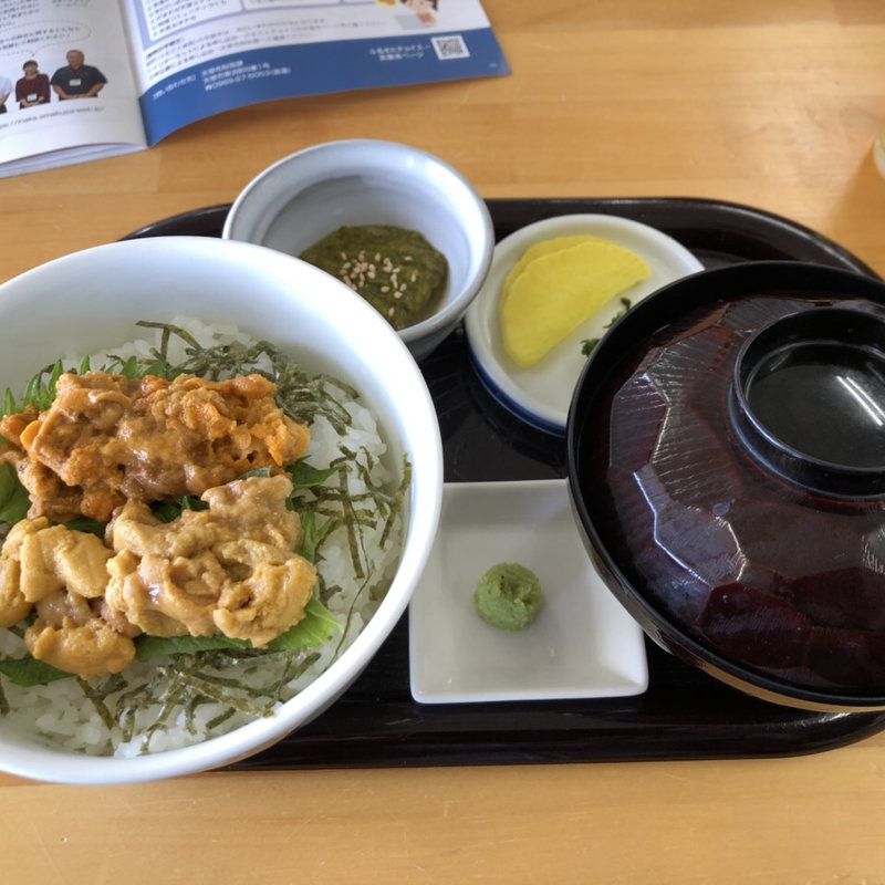 うに二種盛り丼(丸健水産 （まるけんすいさん）)