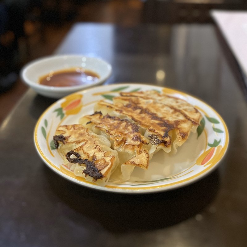 やみつき餃子(田記 )