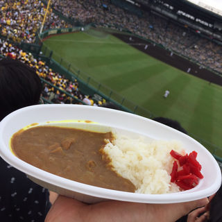 甲子園駅周辺でのおすすめカレーBEST8 | SARAH[サラ]