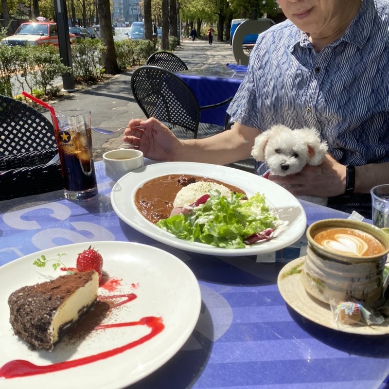 Curry Lunch(MLB Cafe Tokyo （エムエルビーカフェトウキョウ）)