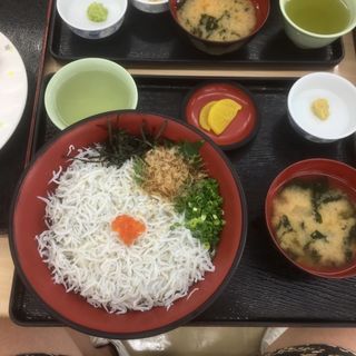 しらす丼(小川港魚河岸食堂 （こがわこううおがししょくどう）)