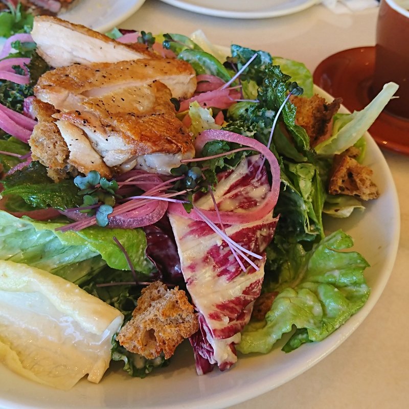 チキンシーザーサラダ(bills 二子玉川 （ビルズ）)