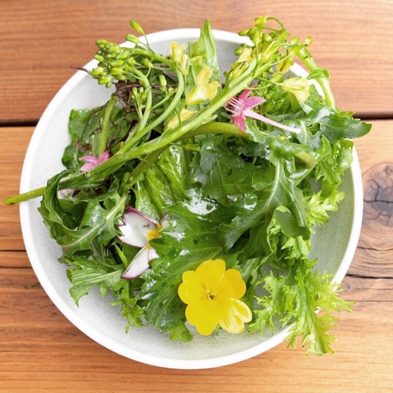 有機サラダ(バーグマンバーガー)